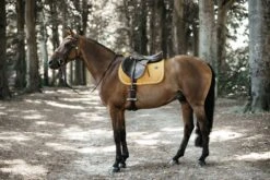 Kentucky Velvet Jump Saddle Pad Mustard 7 Kentucky Velvet Jump Saddle Pad Mustard -Equestrian Supply Store 28ace8e79ed03ab53f927f84ca81637d0ef484e5a87bd35182d57a0fcfcebd8b