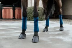 Kentucky Velvet Bandages Navy 7 Kentucky Velvet Bandages Navy -Equestrian Supply Store 31a92ac1db17154784b8266b1f635adc280281b260a27f6359ae34954d987087