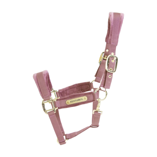 Kentucky Horsewear Velvet Halter Old Rose 3 Kentucky Horsewear Velvet Halter Old Rose