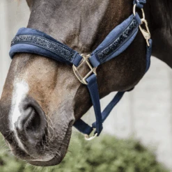 Kentucky Horsewear Glitter Stone Halter Navy 9 Kentucky Horsewear Glitter Stone Halter Navy -Equestrian Supply Store 485a8887 e8502ded370e565d04389cf2c54c4715 article photobook crop