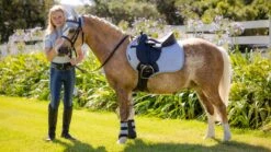 LeMieux Mini Jump Saddle Pad Mist 7 LeMieux Mini Jump Saddle Pad Mist -Equestrian Supply Store 4d9a8587 copy