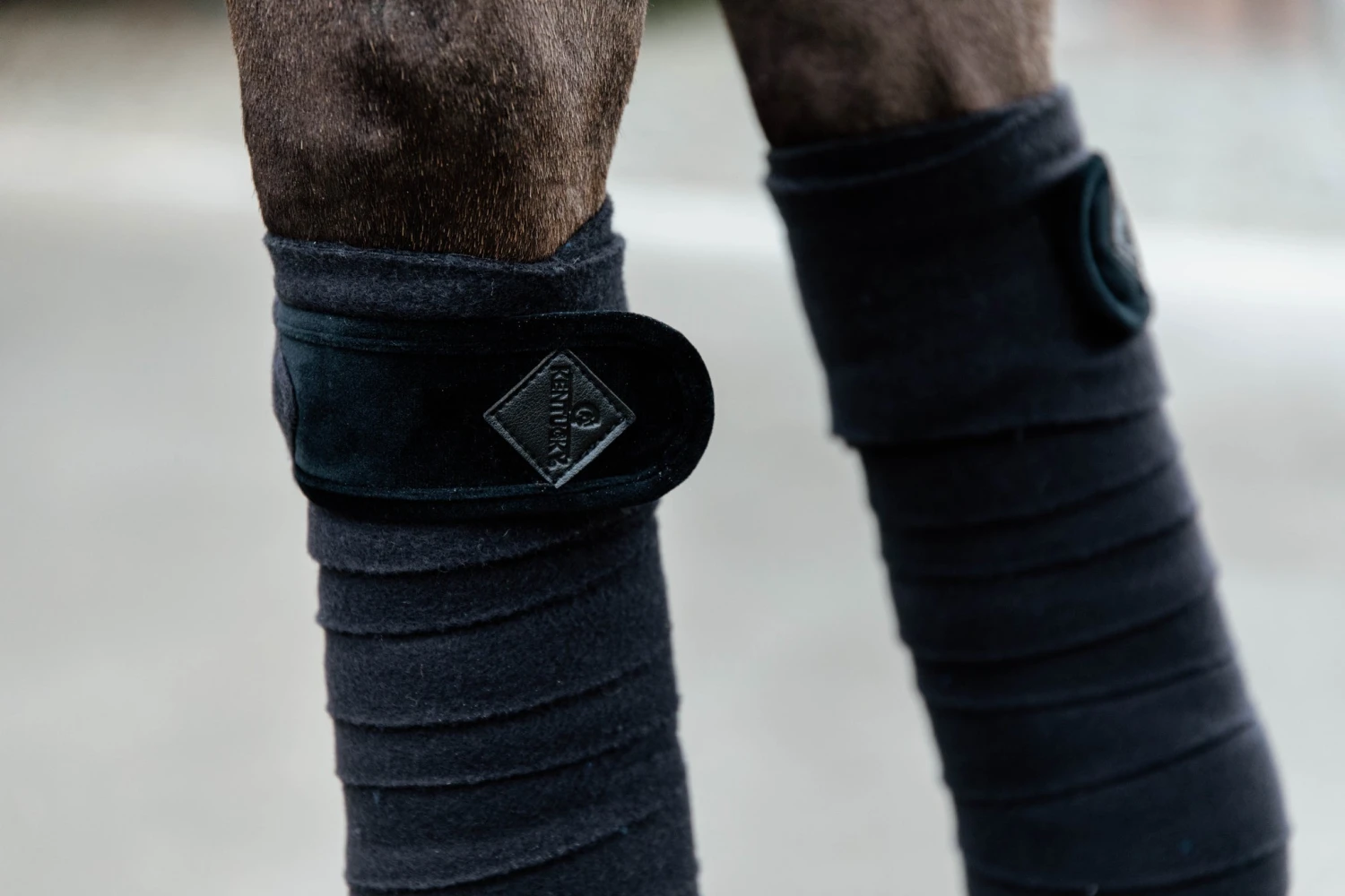 Kentucky Velvet Bandages Black 4 Kentucky Velvet Bandages Black - Image 2