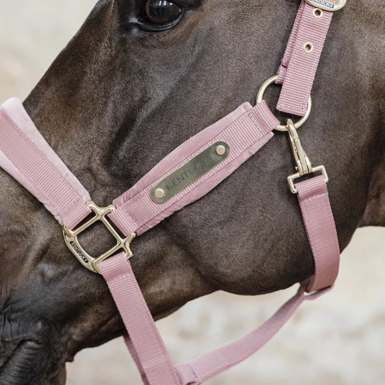 Kentucky Horsewear Velvet Halter Old Rose 4 Kentucky Horsewear Velvet Halter Old Rose - Image 2