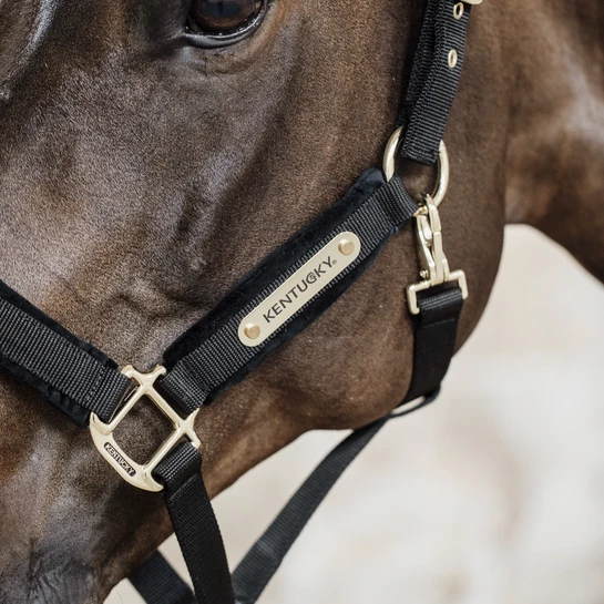 Kentucky Horsewear Velvet Halter Black 4 Kentucky Horsewear Velvet Halter Black - Image 2