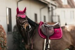 Kentucky Velvet Jump Saddle Pad Fuchsia 8 Kentucky Velvet Jump Saddle Pad Fuchsia -Equestrian Supply Store 615855b0c9291a0c39cdfdf362eb0a8cc035864c4a05eea4a6f6fe4374410ca4