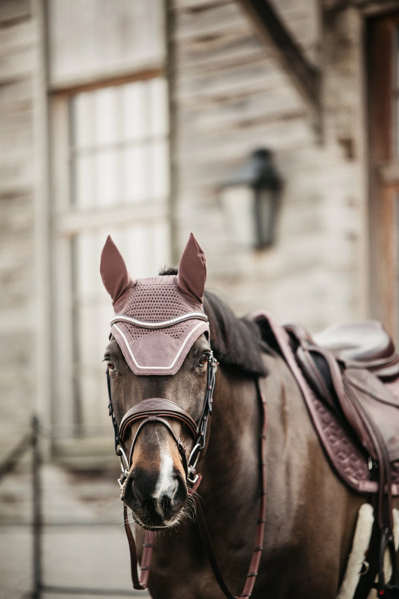 Kentucky Velvet Wellington Ear Bonnet Light Purple 4 Kentucky Velvet Wellington Ear Bonnet Light Purple - Image 2
