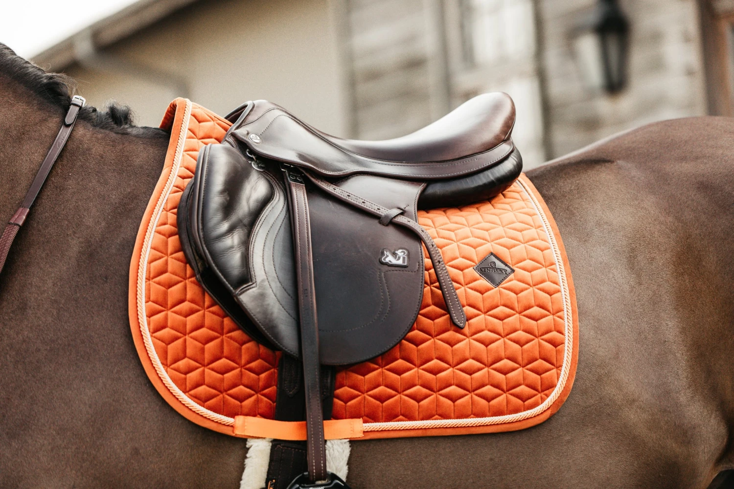 Kentucky Velvet Jump Saddle Pad Orange 4 Kentucky Velvet Jump Saddle Pad Orange - Image 2