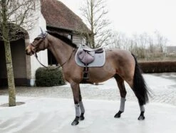 Kentucky Velvet Jump Saddle Pad Grey -Equestrian Supply Store 885d8a39fe115c679f889a3d60d03433a72dc583bb5f20b8bfee231774ff3886