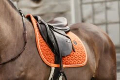 Kentucky Velvet Jump Saddle Pad Orange 11 Kentucky Velvet Jump Saddle Pad Orange -Equestrian Supply Store 8c51598d24bc0e6d250dce36cd416a07e9d8d077240d9b97543b843df835ed4c