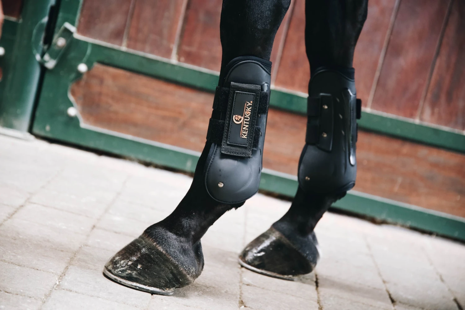 Kentucky Air Tendon Boots Black 4 Kentucky Air Tendon Boots Black - Image 2