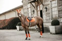 Kentucky Velvet Jump Saddle Pad Orange 13 Kentucky Velvet Jump Saddle Pad Orange -Equestrian Supply Store 9268c6f75332e3f9b232595fd14be8f359fa4b51573ebf59397d1a1425cba83a