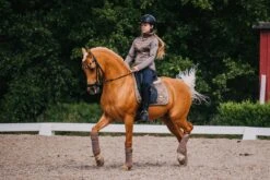 Equestrian Stockholm Dressage Saddle Pad Champagne -Equestrian Supply Store DSC 0566