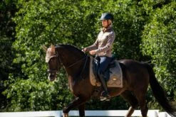 Equestrian Stockholm Dressage Saddle Pad Champagne -Equestrian Supply Store DSC 2056