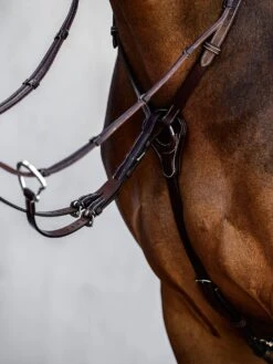 PS Of Sweden Breastplate Melbourne 15 PS Of Sweden Breastplate Melbourne -Equestrian Supply Store DSC 8646