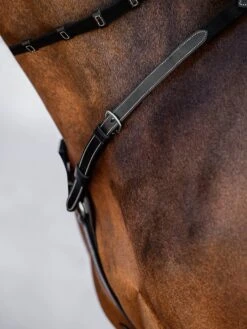 PS Of Sweden Breastplate Melbourne 14 PS Of Sweden Breastplate Melbourne -Equestrian Supply Store DSC 9087