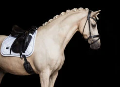 Equestrian Stockholm Bandages White Perfection Silver -Equestrian Supply Store Dressage Saddle pad White perfection silver 1