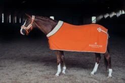 Equestrian Stockholm Fleece Headcollar & Lead Brick Orange 10 Equestrian Stockholm Fleece Headcollar & Lead Brick Orange -Equestrian Supply Store MG 1060 616a39a6 c368 4c67 be75 5b1568d83bc9