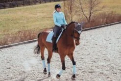 Equestrian Stockholm Bandages Ice Blue 11 Equestrian Stockholm Bandages Ice Blue -Equestrian Supply Store MG 1489