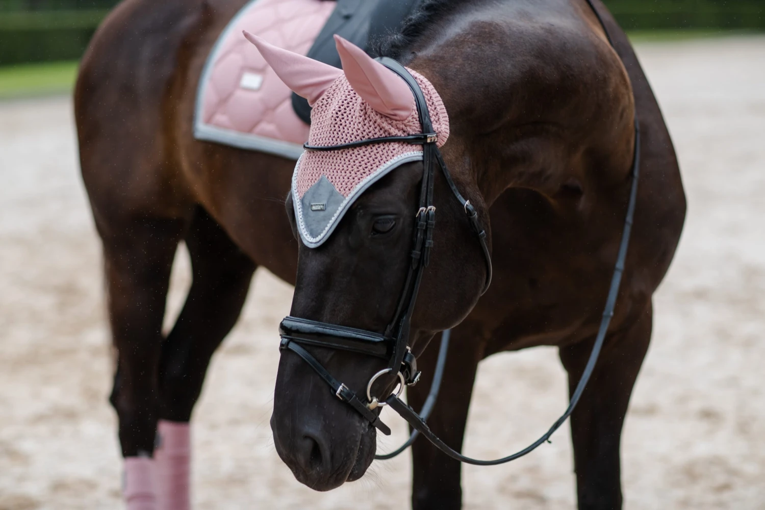 Equestrian Stockholm Ear Bonnet Pink Crystal 4 Equestrian Stockholm Ear Bonnet Pink Crystal - Image 2