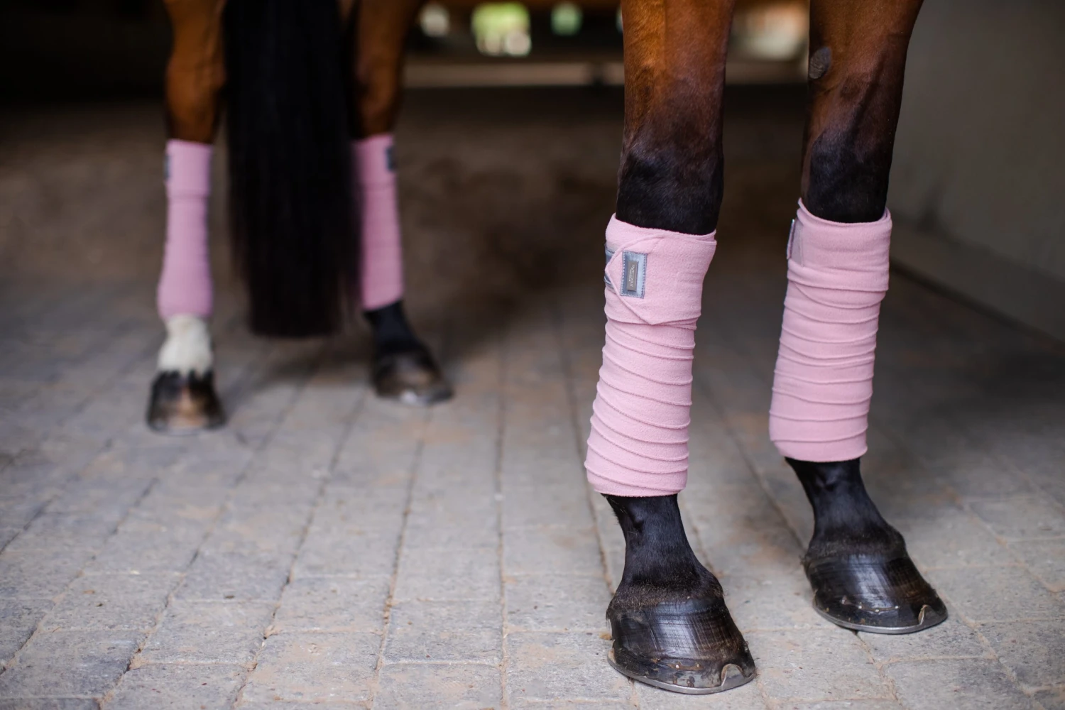 Equestrian Stockholm Bandages Pink Crystal 4 Equestrian Stockholm Bandages Pink Crystal - Image 2