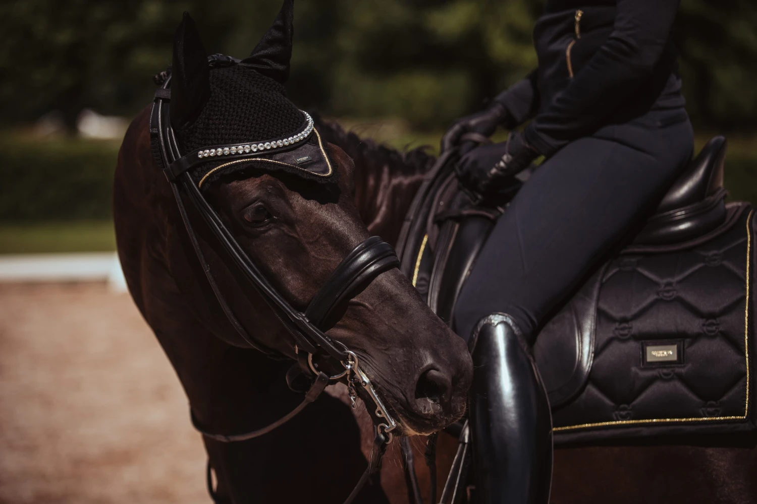 Equestrian Stockholm Dressage Saddle Pad Black Gold 7 Equestrian Stockholm Dressage Saddle Pad Black Gold - Image 5