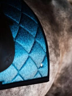 PS Of Sweden Ombré Dressage Saddle Pad Navy 11 PS Of Sweden Ombré Dressage Saddle Pad Navy -Equestrian Supply Store OmbreDressageNavy2