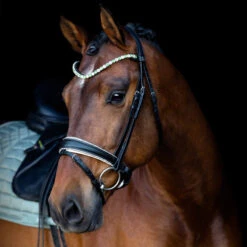 SD Design Be Tempted Browband Peppermint Cake Pop -Equestrian Supply Store R 1016 SD Be Tempted browband6 1