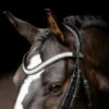 SD Design Azzaro Browband Clear -Equestrian Supply Store R 119 SD Azzaro browband2 1 1.w610.h610.backdrop
