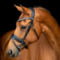 SD Design Vivaldi Browband Clear 11 SD Design Vivaldi Browband Clear -Equestrian Supply Store R 1206 SD VIvaldi bridle 1