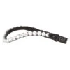 SD Design Valentino Browband Clear -Equestrian Supply Store R 1385 SD Valentino browband black1W