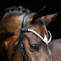 SD Design Valentino Browband Clear -Equestrian Supply Store R 1385 SD Valentino browband6W