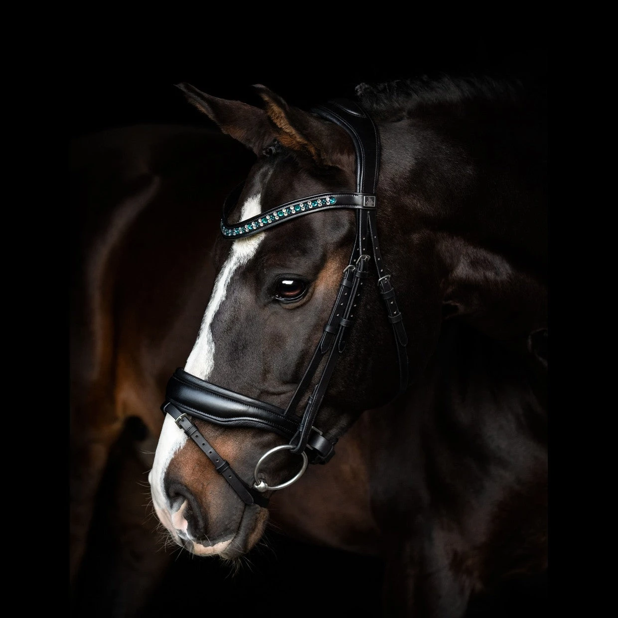 SD Design Vivaldi Browband Blue Lagoon 5 SD Design Vivaldi Browband Blue Lagoon - Image 3
