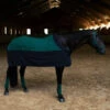Equestrian Stockholm Fleece Rug Sycamore Green -Equestrian Supply Store RR