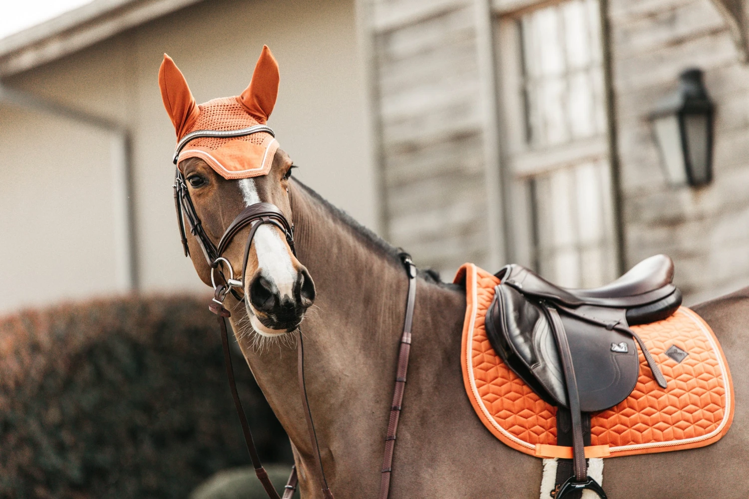 Kentucky Velvet Jump Saddle Pad Orange 7 Kentucky Velvet Jump Saddle Pad Orange - Image 5