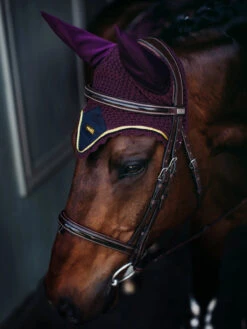 Equestrian Stockholm Ear Bonnet Purple Gold -Equestrian Supply Store aHR0cHM6Ly9lcXVlc3RyaWFuc3RvY2tob2xtLmNvbS93cC1jb250ZW50L3VwbG9hZHMvc2l0ZXMvMi8yMDE5LzA4L3B1cnBsZS1nb2xkLWVhcm5ldC1lc3N0b2NraG9sbS5qcGc