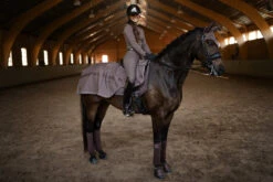 Equestrian Stockholm Exercise Rug Amaranth 7 Equestrian Stockholm Exercise Rug Amaranth -Equestrian Supply Store amaran3 2