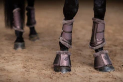 Equestrian Stockholm Brushing Boots Amaranth 7 Equestrian Stockholm Brushing Boots Amaranth -Equestrian Supply Store amaranth brushing boots benskydd gamaschen beenbeschermers on1