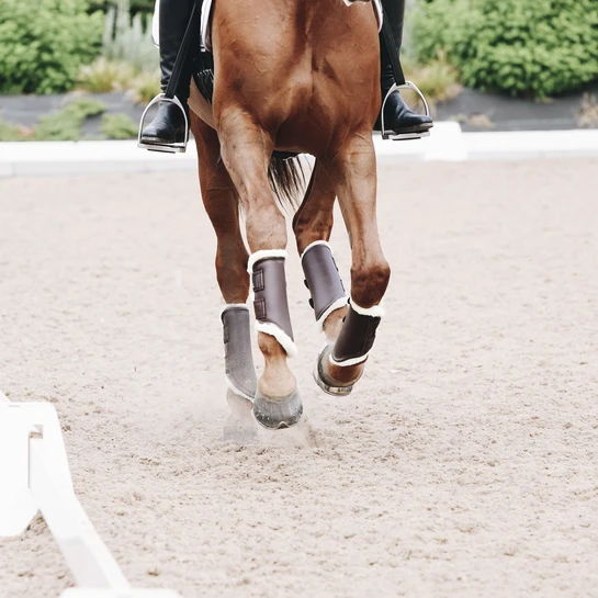 Kentucky Leather Brushing Boots Brown 4 Kentucky Leather Brushing Boots Brown - Image 2