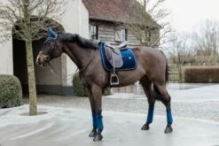 Kentucky Velvet Dressage Saddle Pad Navy 8 Kentucky Velvet Dressage Saddle Pad Navy -Equestrian Supply Store b5218072bf431de5a1e41a93925260142641497fcd8b8ba2b2a8173251740457