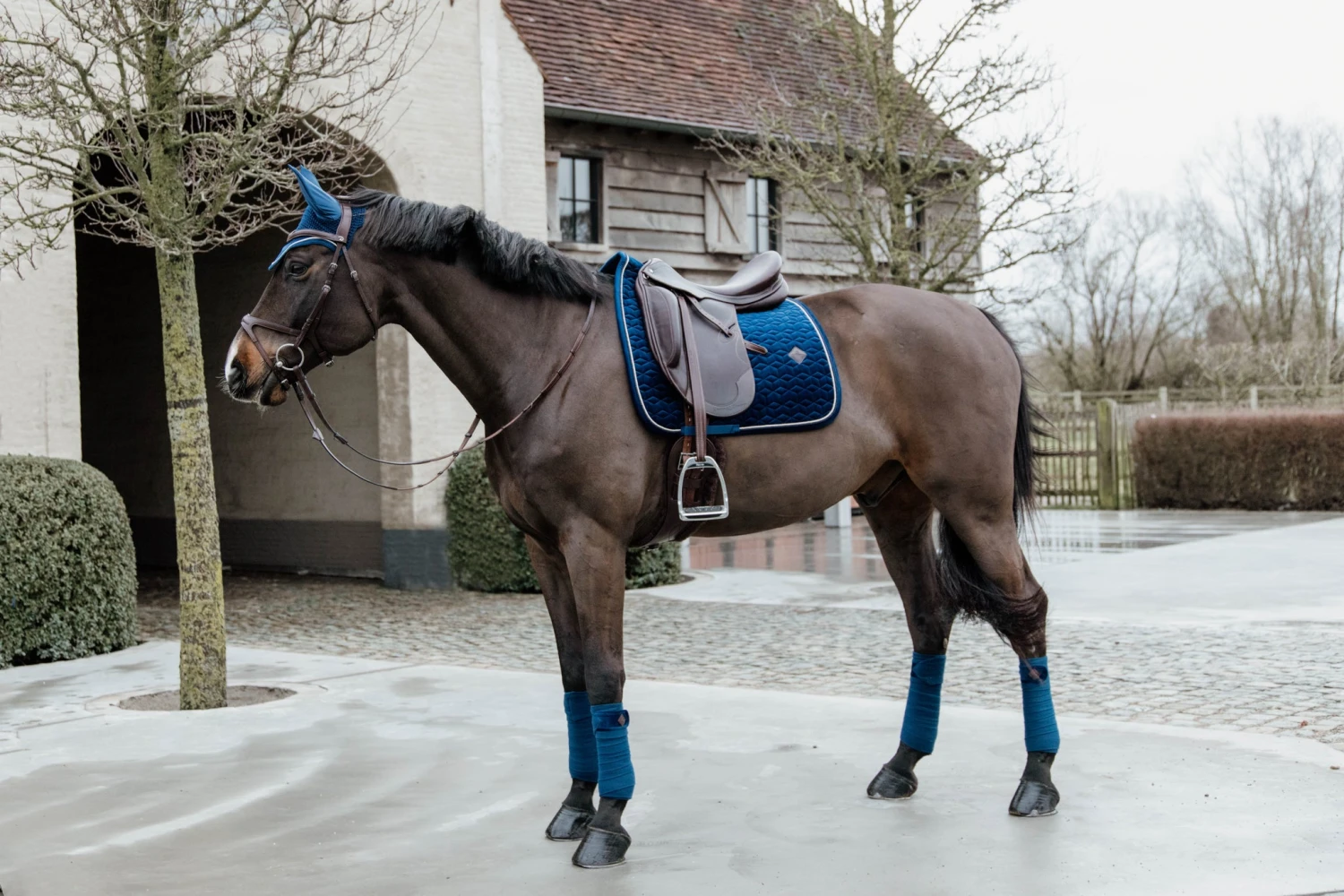 Kentucky Velvet Dressage Saddle Pad Navy 5 Kentucky Velvet Dressage Saddle Pad Navy - Image 3