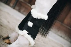 Kentucky Air Brushing Boots Black -Equestrian Supply Store bc6d7f41a1930bac34ec9225b33cb0396384fcf030ce284f871b757175ef866a