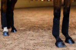 Equestrian Stockholm Bandages All Black Glimmer 8 Equestrian Stockholm Bandages All Black Glimmer -Equestrian Supply Store black glimmer fleece bandages benlindor bandagen bandages on1