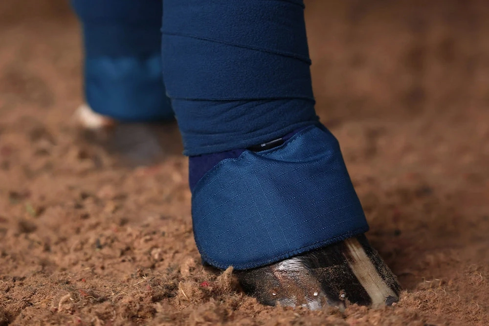 Equestrian Stockholm Bandage Pads Blue Meadow 5 Equestrian Stockholm Bandage Pads Blue Meadow - Image 3