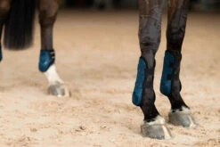 Equestrian Stockholm Anatomic Tendon Boots Blue Meadow -Equestrian Supply Store blue meadow tendon boots framskydd peesbeschermers frontschutz on2