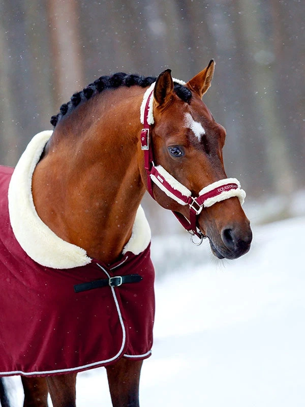 Equestrian Stockholm Fleece Headcollar & Lead Bordeaux 3 Equestrian Stockholm Fleece Headcollar & Lead Bordeaux