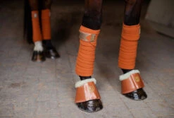 Equestrian Stockholm Fleece Bell Boots Bronze Gold 8 Equestrian Stockholm Fleece Bell Boots Bronze Gold -Equestrian Supply Store bronze gold bandages equestrian stockholm 3 webb 886c9195 f21c 4acc 8c0d e1749a12f076