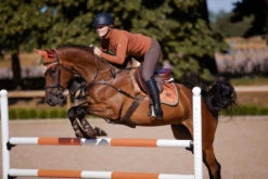 Equestrian Stockholm Jump Saddle Pad Bronze Gold -Equestrian Supply Store bronze gold showjumppadd equestrian stockholm 3 webb