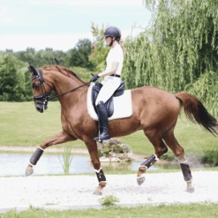 Kentucky Leather Brushing Boots Brown 7 Kentucky Leather Brushing Boots Brown -Equestrian Supply Store c e8502ded370e565d04389cf2c54c4715 article photobook crop 5