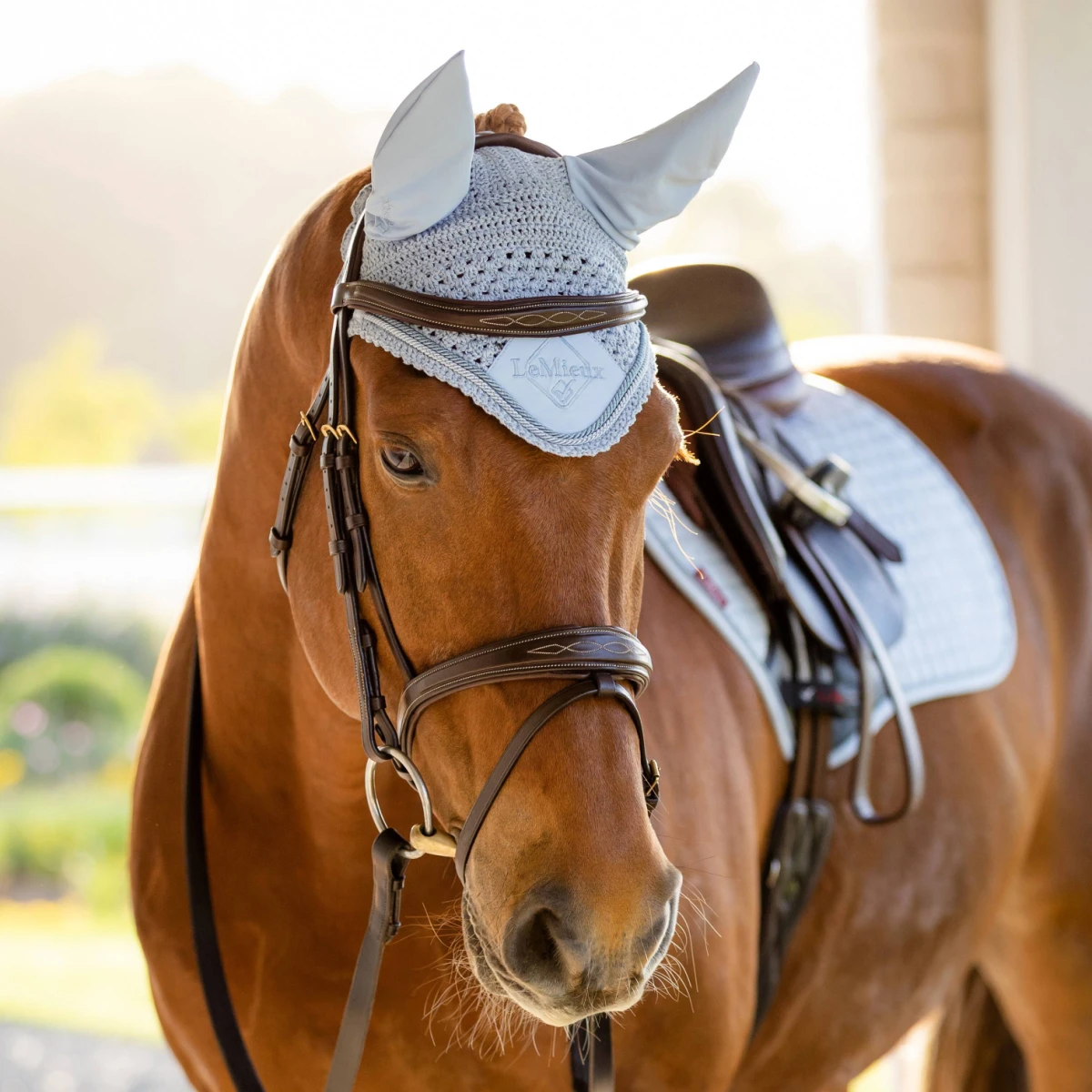 LeMieux Classic Ear Bonnet Mist 4 LeMieux Classic Ear Bonnet Mist - Image 2