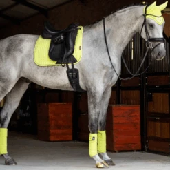 LeMieux Classic Bandages Kiwi 7 LeMieux Classic Bandages Kiwi -Equestrian Supply Store carbonmeshboots 5 86507dcc 6f71 422d 88b3 b16872969980